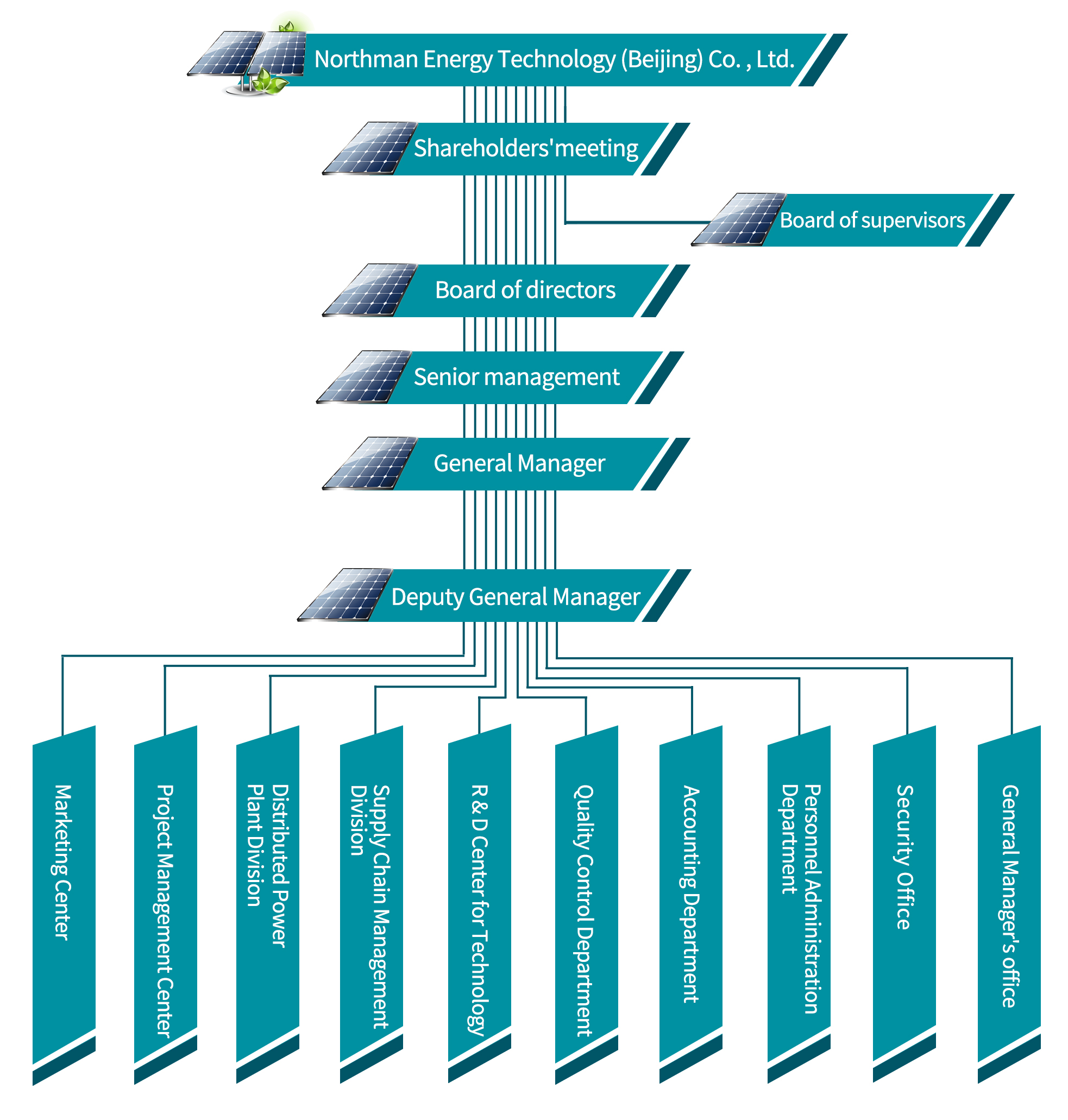 Organizational structure(图1)