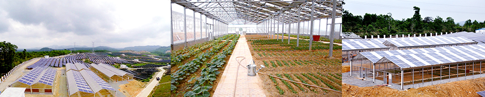 Tunchang 20MW Modern Agricultural Solar Grid-Connected Power Station Demonstration Project(图3)