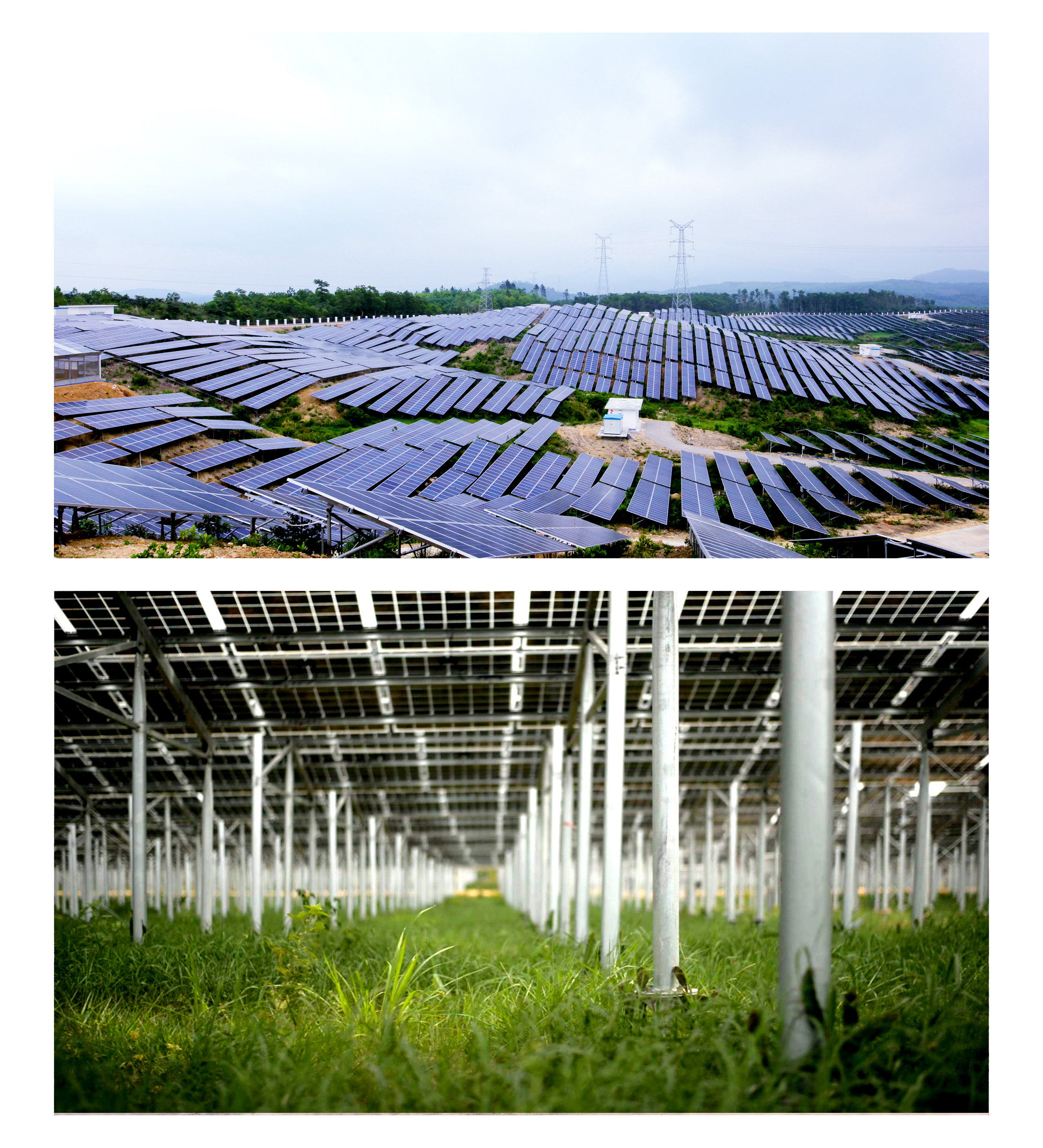 China Power International Development Limited.Changjiang 20MW Photovoltaic Agricultural Comprehensiv(图1)
